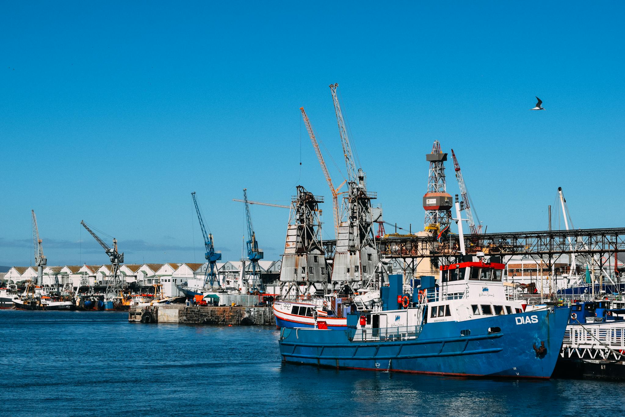 Industrial dock with contemporary cranes and moored cargo vessels in blue water in sunlight